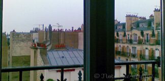 ブログを開設しました!