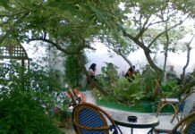 モスクでハーブティー