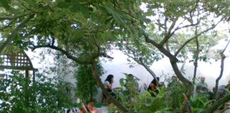 モスクでハーブティー