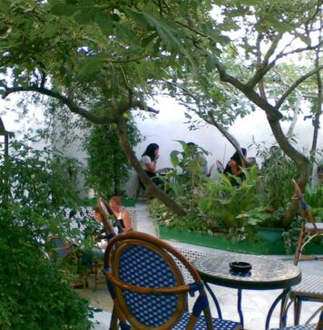 モスクでハーブティー