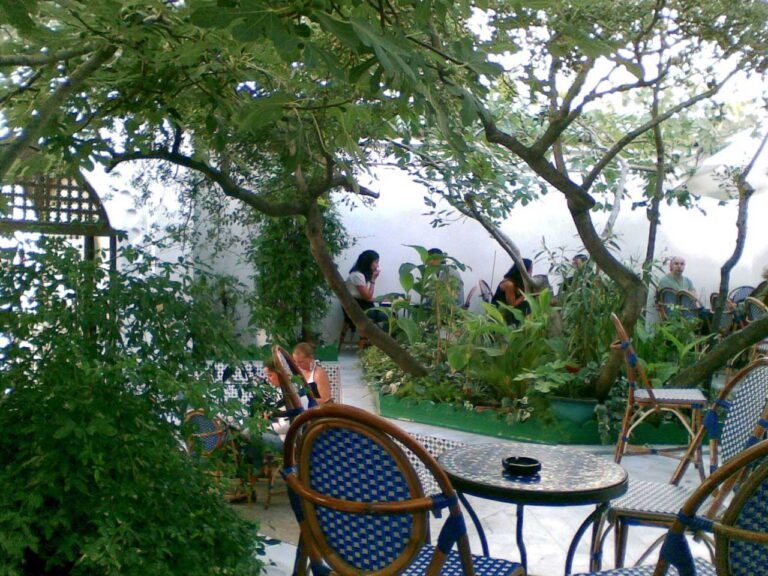 モスクでハーブティー