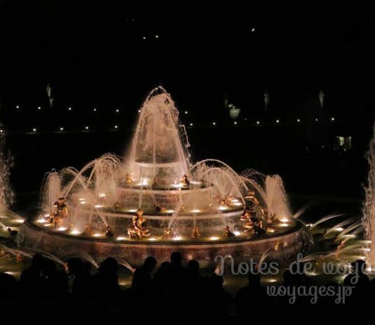 ヴェルサイユ宮殿の噴水・庭園イベント ヴェルサイユ宮殿の夜の大噴水ショー