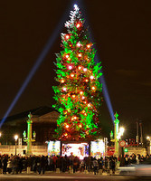 sapin_20121226.jpg
